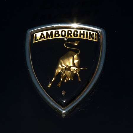 Lamborghini Emblem