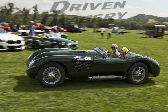 1954 Jaguar C Type - 1