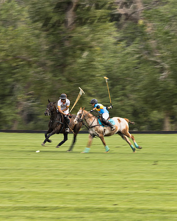 Polo Players - 1