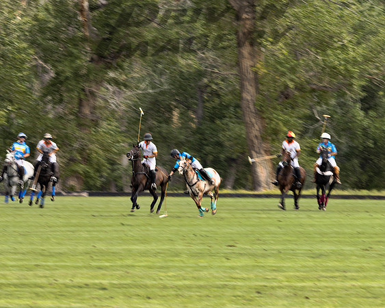 Polo Players - 2