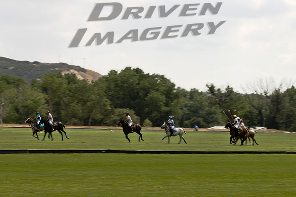 Polo Players - 3