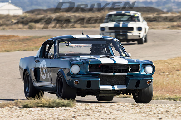 45 Patrick Hogan - 1966 Shelby GT350 - 1