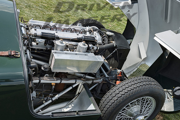 1954 Jaguar C Type - 5