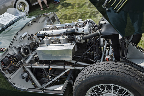 1954 Jaguar C Type - 6