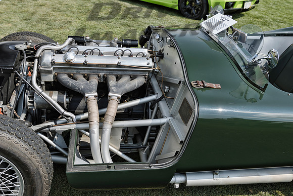 1954 Jaguar C Type - 8