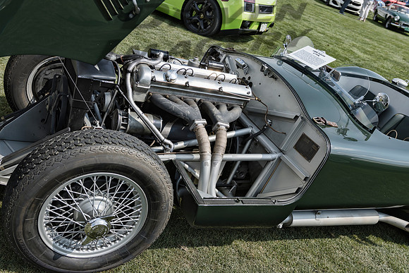 1954 Jaguar C Type - 7