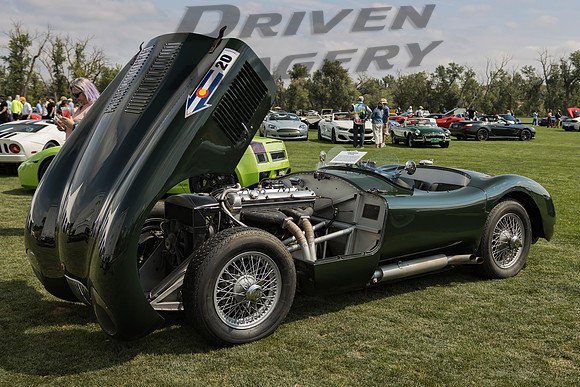1954 Jaguar C Type - 16