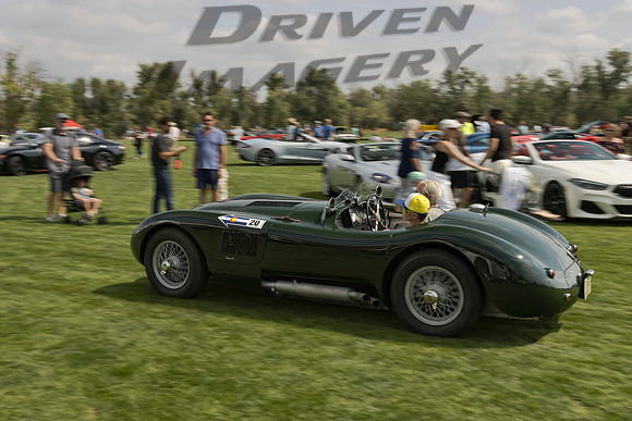 1954 Jaguar C Type - 30
