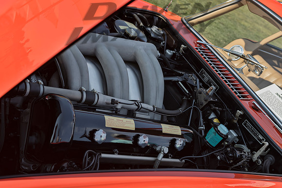 1955 Mercedes 300SL Gullwing - 1