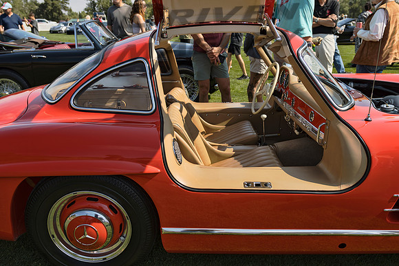 1955 Mercedes 300SL Gullwing - 4