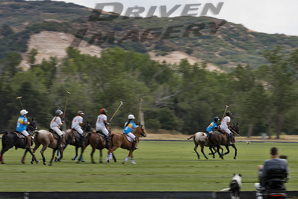 Polo Players - 4