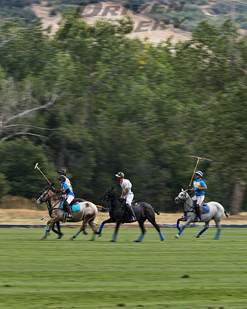 Polo Players - 6