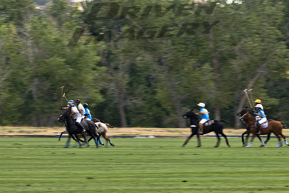 Polo Players - 5
