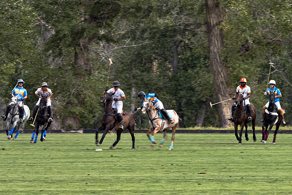 Polo Players - 7