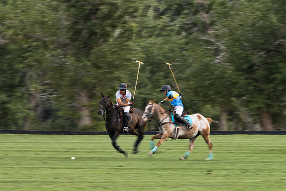 Polo Players - 8