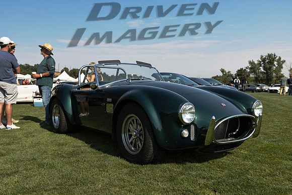 Shelby Cobra - 1