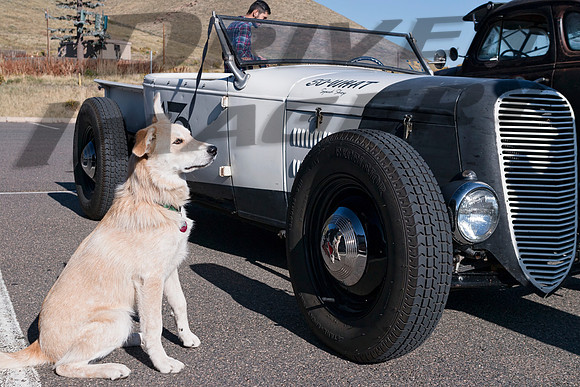 13 Andrew Leverenz & Buckey - 1931 Ford Roadster Pickup Truck - 1