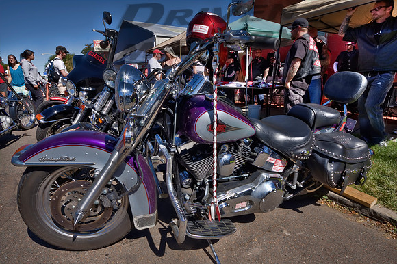 Purple & Gray Harley Davidson Softail