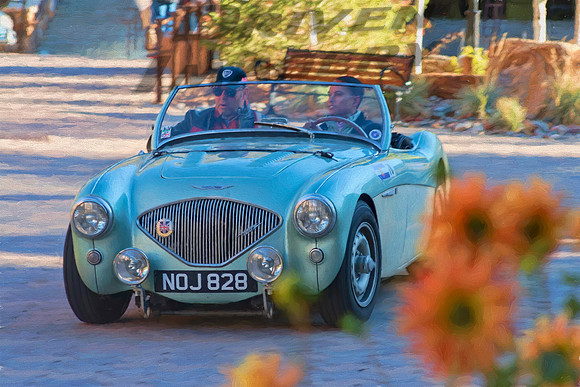 78 - 1955 Austin-Healey 100M - 1