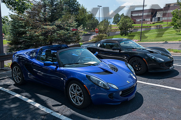 Elise - Levin - 02