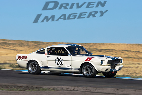28 Mike Schaefer - 1966 Ford Shelby GT500 - 1