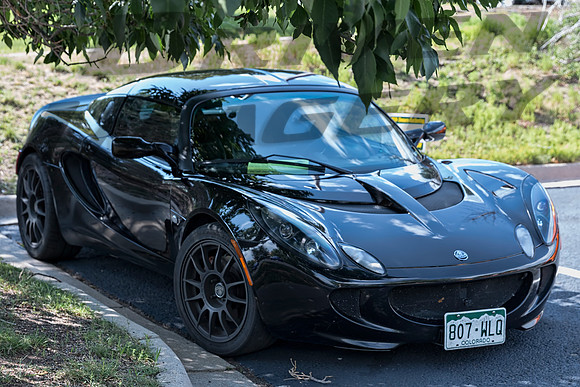 Elise - 807-WLQ-01