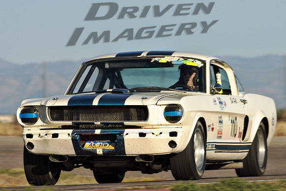 110 Bob Hill - 1966 Ford Shelby GT 350 - 4
