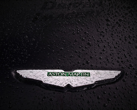 Aston Martin Badge - Painted