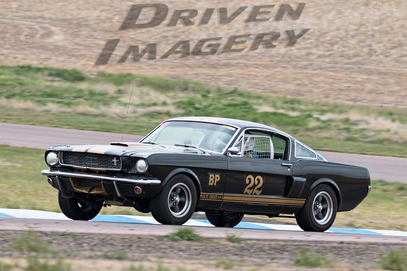 22 Bill Miller - 1966 Shelby GT-350H - 1