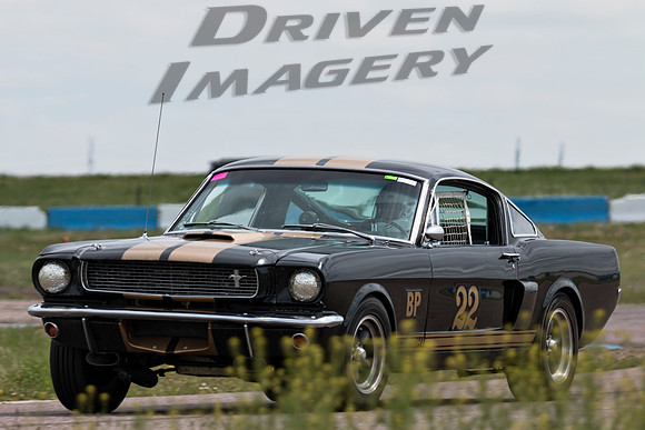 22 Bill Miller - 1966 Shelby GT-350H - 2