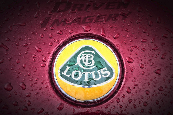 Lotus Emblem - Painted