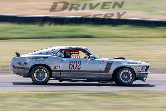 602 Randy Rosetta - 1970 Ford BOSS 302 Mustang - 3