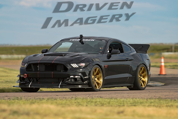 Greg Paine - 2015 Ford Mustang GT - 1