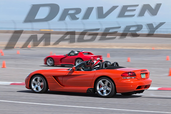 Orange Viper - 1