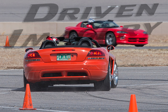 Orange Viper - 2