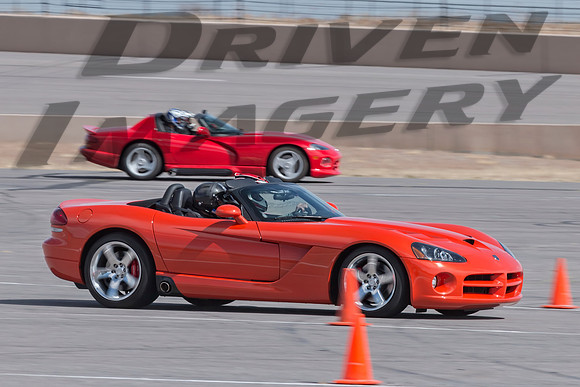 Orange Viper - 3
