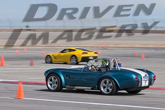 Shelby Cobra Gaurds Blue with White Stripes - 1