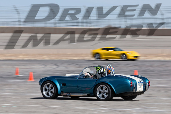 Shelby Cobra Gaurds Blue with White Stripes - 2