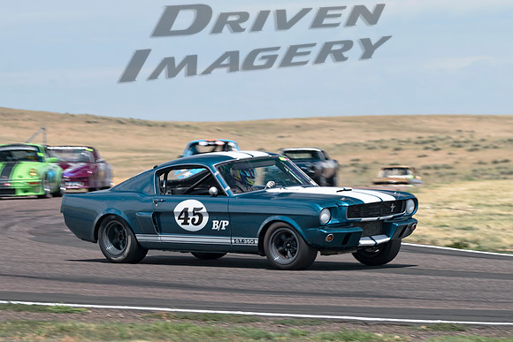45 Kiel Hogan - 1966 Shelby GT350 - 2
