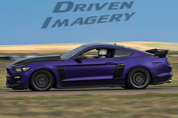 Luke Stefanski - 2016 Ford Mustang BOSS 302 - 6