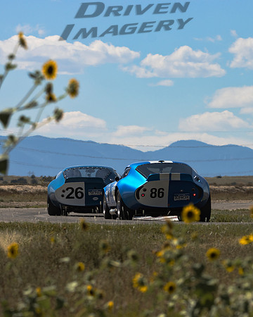 26 Jeff Payne & 86 Mark Cox - 1965 Daytona Coupe Replicas - 1