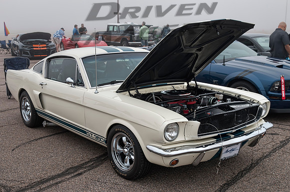1965 Ford GT350 Shelby Mustang - 1