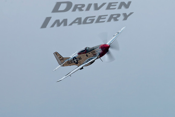 North American P-51D Mustang N11636 - Stang Evil - 5