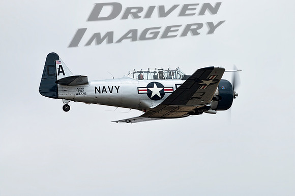 North American SNJ-5 Texan - N3645F - 3
