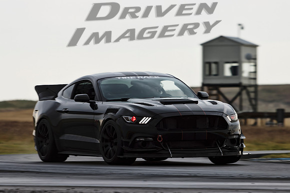 Greg Paine - 2015 Ford Mustang GT - 4