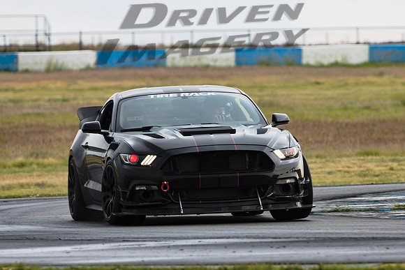 Greg Paine - 2015 Ford Mustang GT - 3