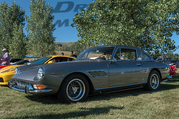 1966 Ferrari 330 GT - 1
