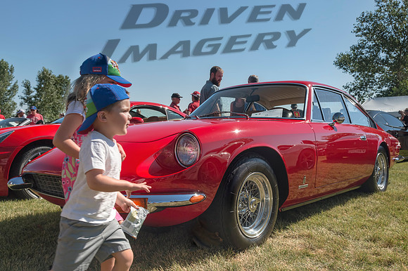1969 Ferrari 365GT2+2 - 4