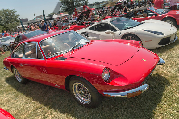 1969 Ferrari 365GT2+2 - 5