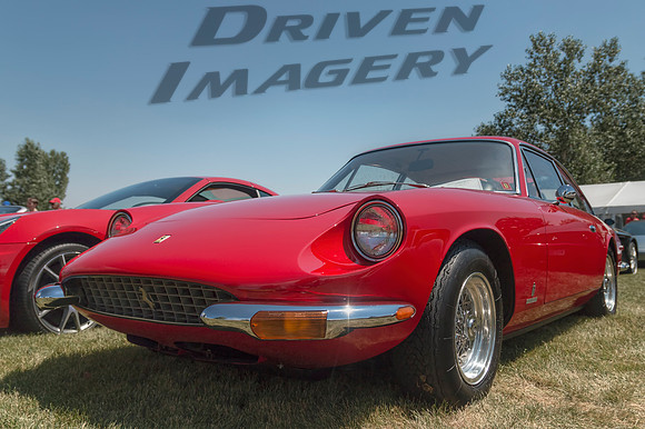 1969 Ferrari 365GT2+2 - 6